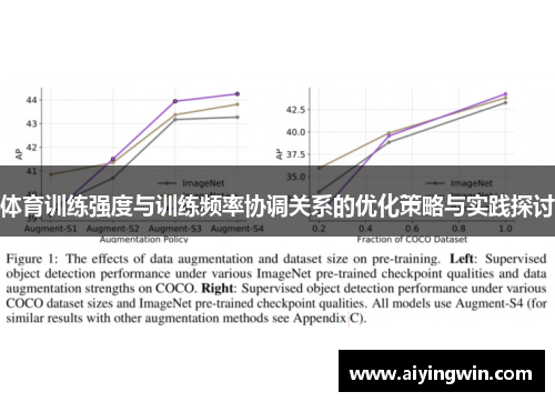 体育训练强度与训练频率协调关系的优化策略与实践探讨