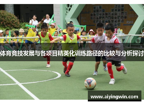 体育竞技发展与各项目精英化训练路径的比较与分析探讨